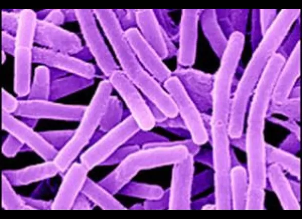 Two people in Koraput, Odisha have been confirmed to have contracted anthrax.