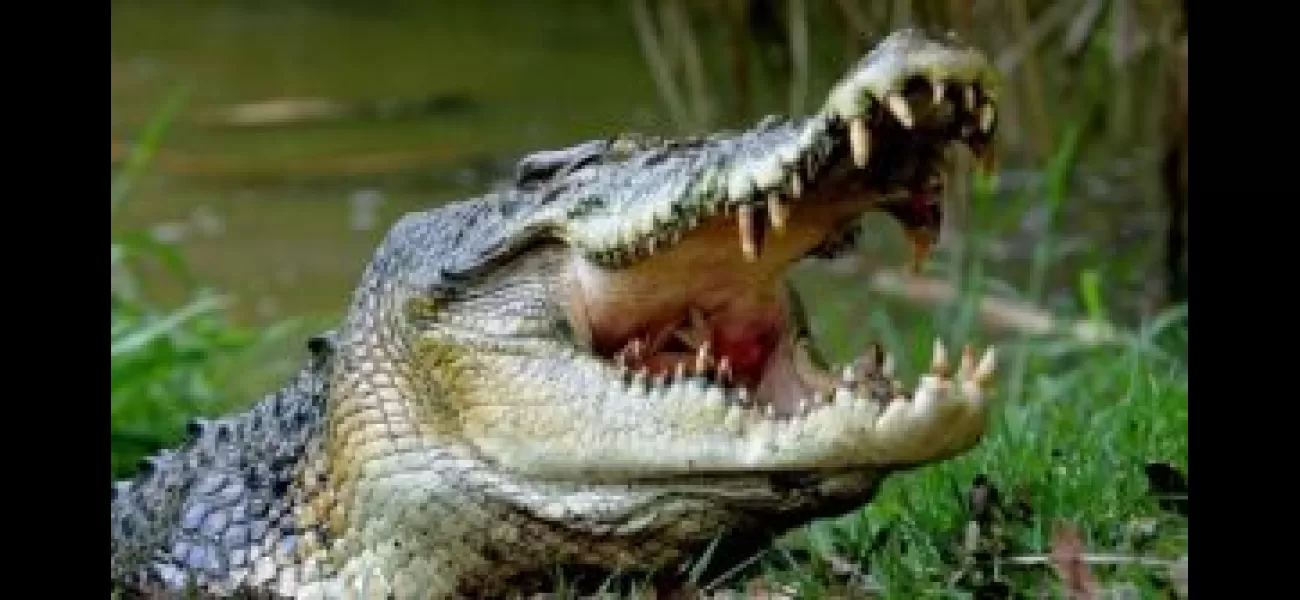 A crocodile in Odisha killed a young boy.