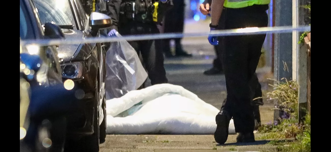A large bully breed dog was fatally shot on a street after it attacked a woman.