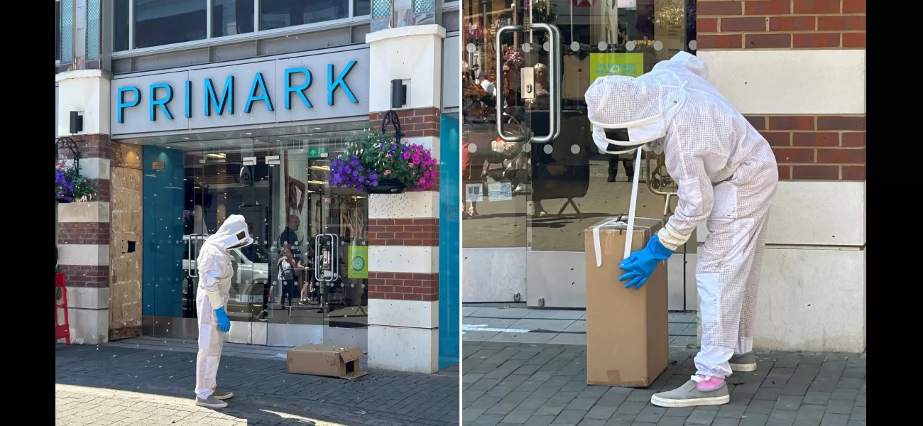 Bee swarm invades busy shopping street, causing chaos for customers.