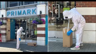 Bee swarm invades busy shopping street, causing chaos for customers.
