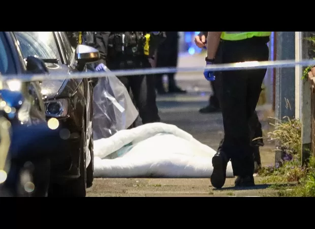 A large bully breed dog was fatally shot on a street after it attacked a woman.