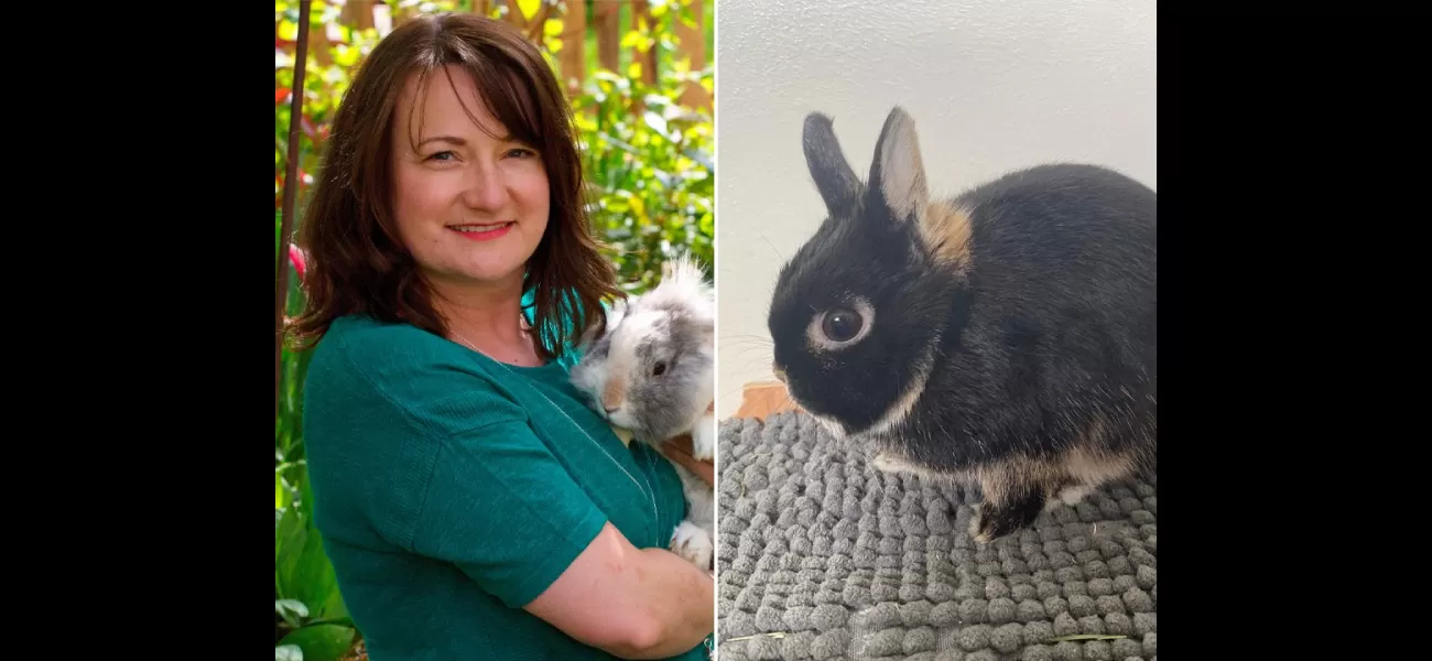 Owner has to give up pet bunny because it is too scary.
