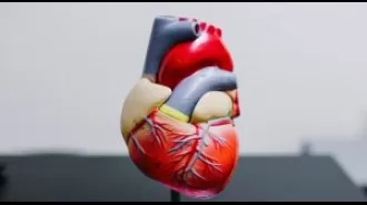 Sudden cardiac death, the third leading cause, can occur without symptoms. It is important to be aware of this.