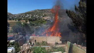 Urgent effort to save those near Athens from spreading wildfires.