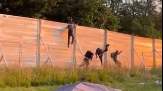 Glastonbury festival in disarray as many bypass security by climbing fence for a fee of £50.