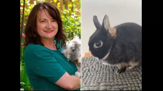 Owner has to give up pet bunny because it is too scary.