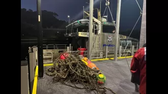 A whale in Victoria was recently rescued from 800kg of tangled rope and buoys.