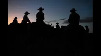 Images of cattle branding at Chico Basin Ranch in Hanover, Colorado.