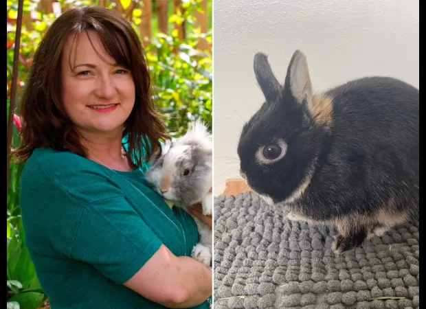 Owner has to give up pet bunny because it is too scary.