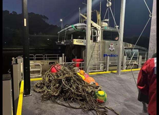 A whale in Victoria was recently rescued from 800kg of tangled rope and buoys.