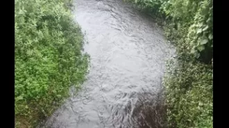 Mine pollution endangers agriculture and human health.