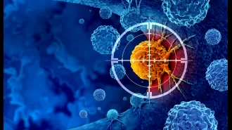 Microscopic robots can locate and eliminate cancer cells.