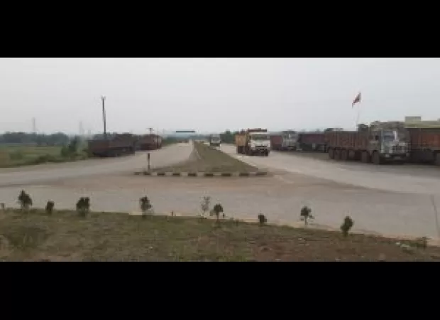 Large areas of New Hampshire will be targeted for a tree planting initiative.