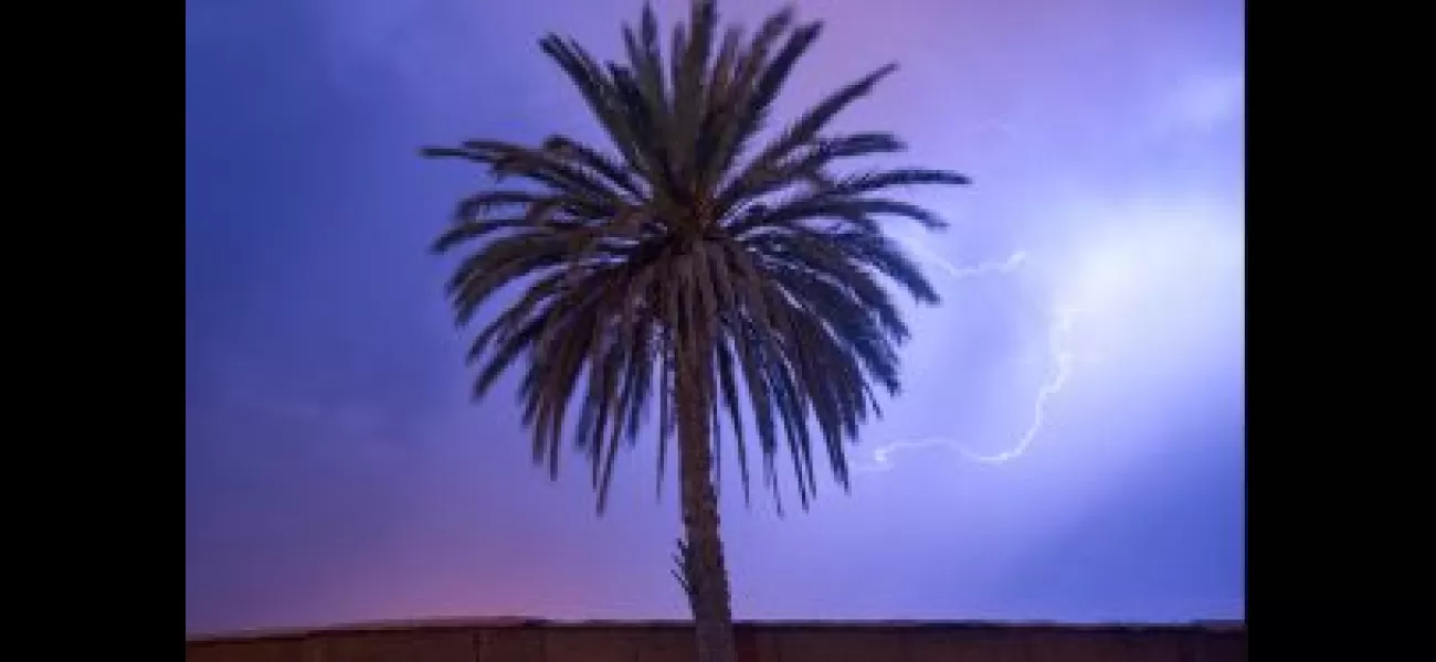 Permission required for palm tree trimming.