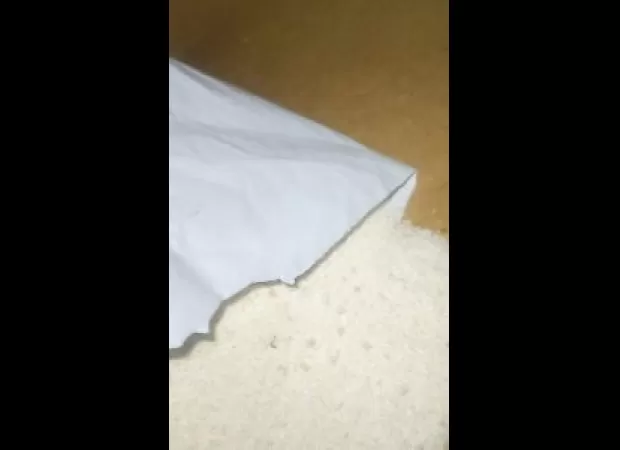 Worms discovered in halwa premix for children.