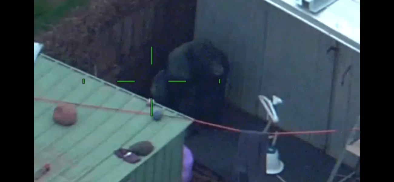 A gorilla statue that was stolen has been found in someone's backyard in Melbourne.