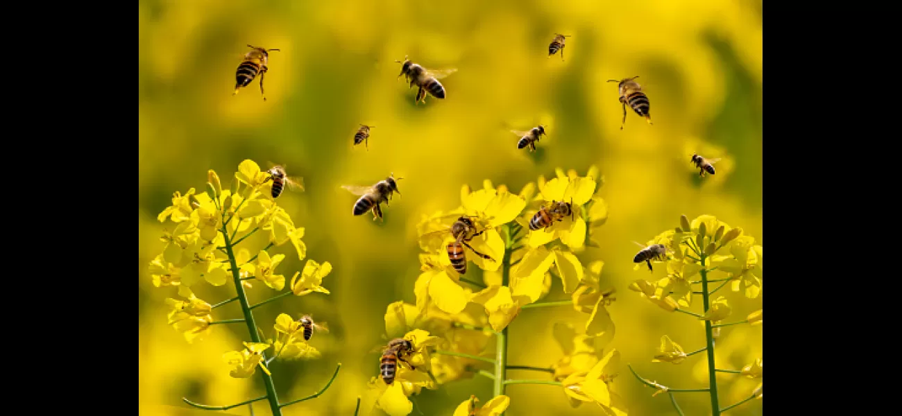 A man gets stung by a bee in an unexpected location.