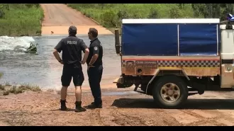 Urgent search underway for 12-year-old boy who disappeared after being attacked by a crocodile while swimming.