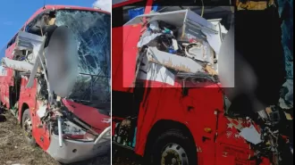 Police are seeking witnesses to come forward with any information about a deadly bus crash on the Bruce Highway.