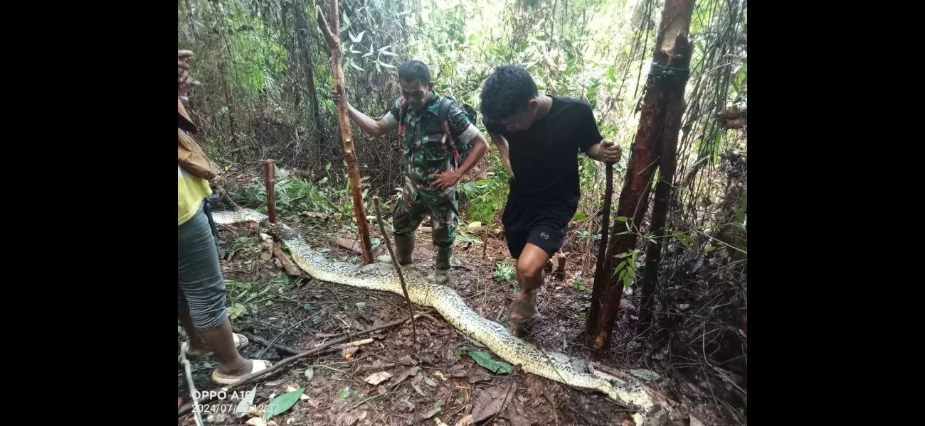 A mother was fatally attacked and partially consumed by a 30-foot python.