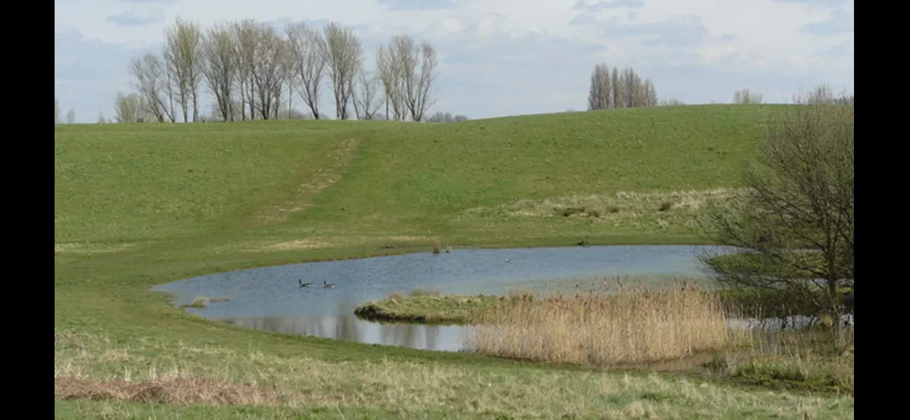 Dead body of young male discovered in pond in public park in London, UK.