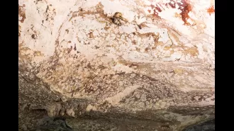 The oldest painting in the world has been revealed - can you identify it?