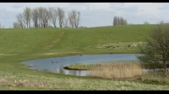 Dead body of young male discovered in pond in public park in London, UK.