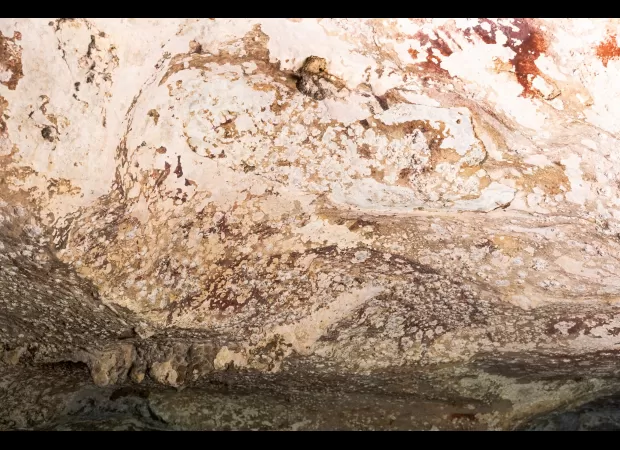 The oldest painting in the world has been revealed - can you identify it?