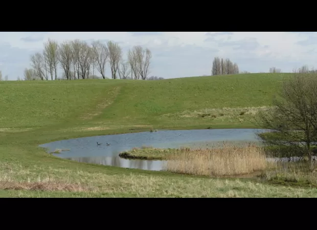 Dead body of young male discovered in pond in public park in London, UK.