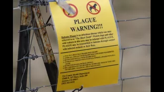 Bubonic plague found in US.