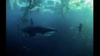 Court rejects removal demand for Netflix shark movie during plagiarism lawsuit.