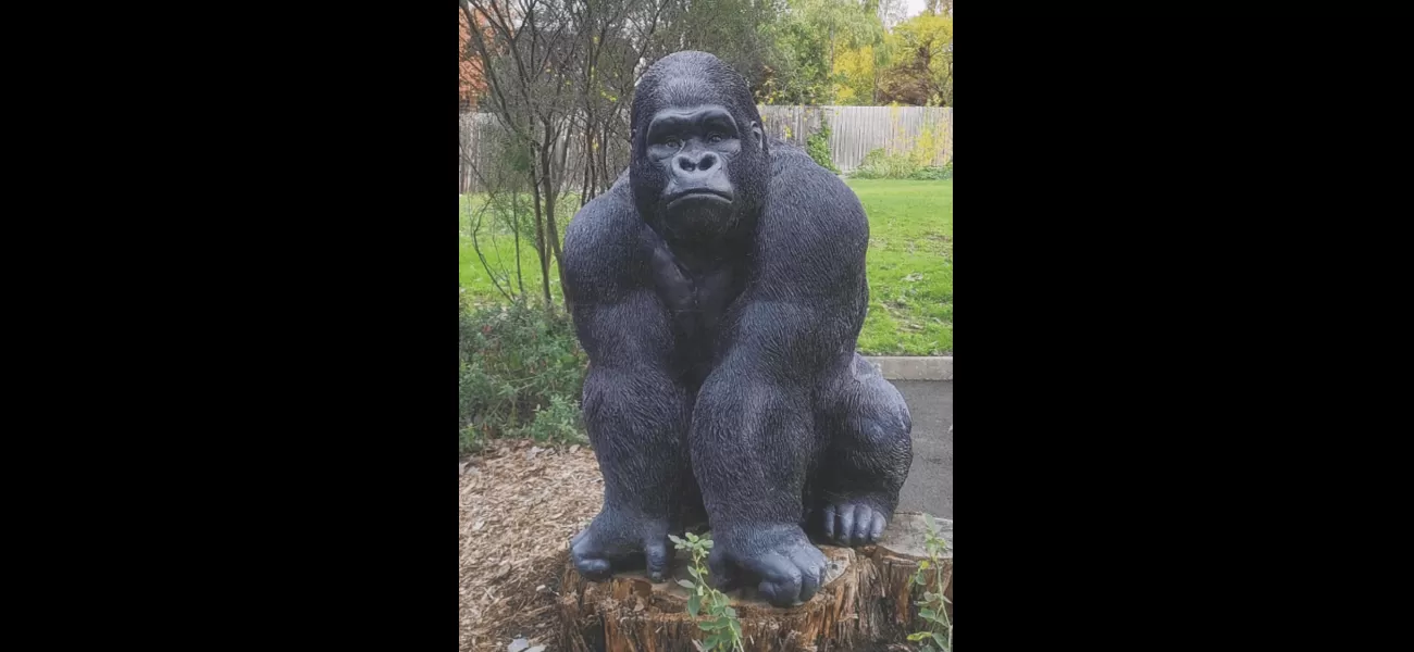 A man has been accused of taking a retirement village's statue of Garry the gorilla.
