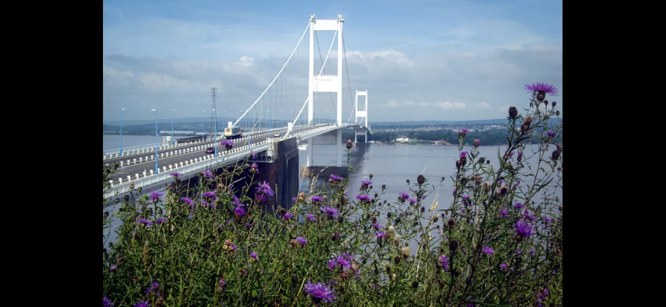 Experience a unique parkrun race by crossing into another country during your run through the wild course.