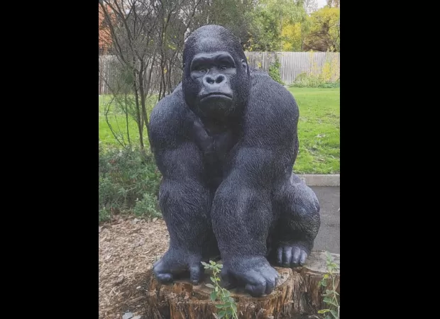 A man has been accused of taking a retirement village's statue of Garry the gorilla.