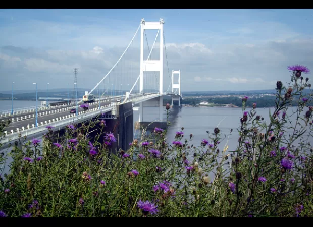Experience a unique parkrun race by crossing into another country during your run through the wild course.
