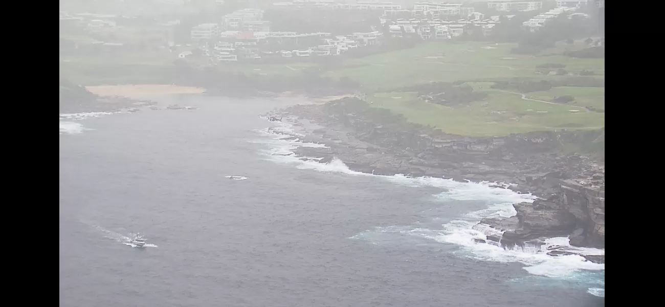 Two dead bodies discovered near shoreline in eastern Sydney.