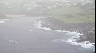 Two dead bodies discovered near shoreline in eastern Sydney.
