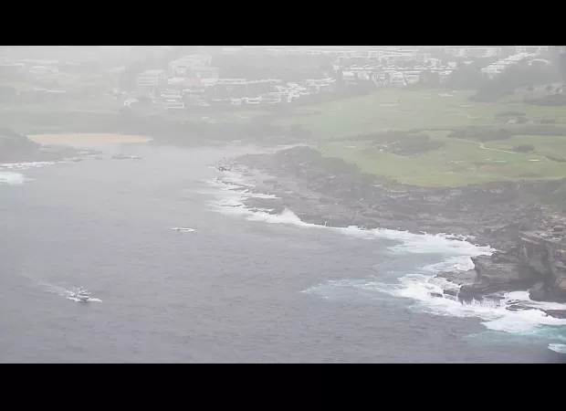 Two dead bodies discovered near shoreline in eastern Sydney.