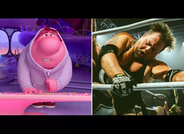 I star in Disney movies but also do hardcore wrestling matches in my free time.