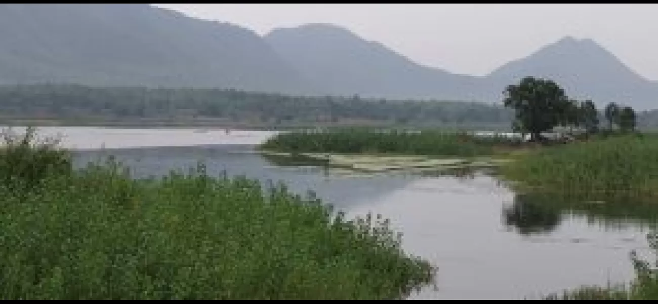 Kalahandi's Bhatrajore dam is clogged with silt.