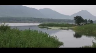 Kalahandi's Bhatrajore dam is clogged with silt.
