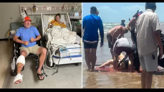 A woman's leg was injured by a shark she mistook for a fish and kicked.