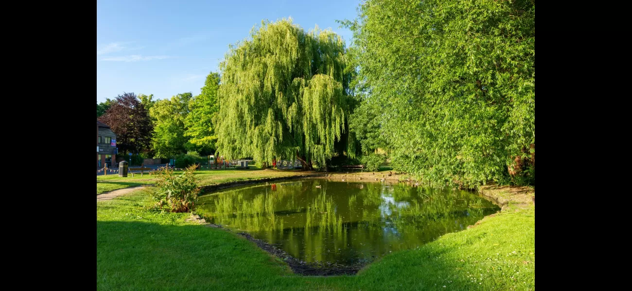 The cause of Britain's stinkiest village has been solved, and it's not pleasant.