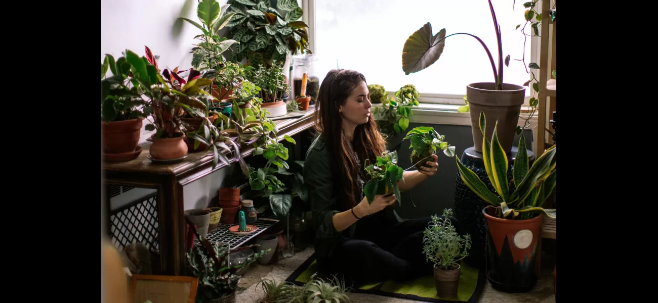 British people talking to their plants may surprise you.