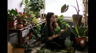 British people talking to their plants may surprise you.