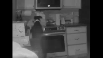 A family is surprised when their dog accidentally sets fire to their home by turning on the stove.