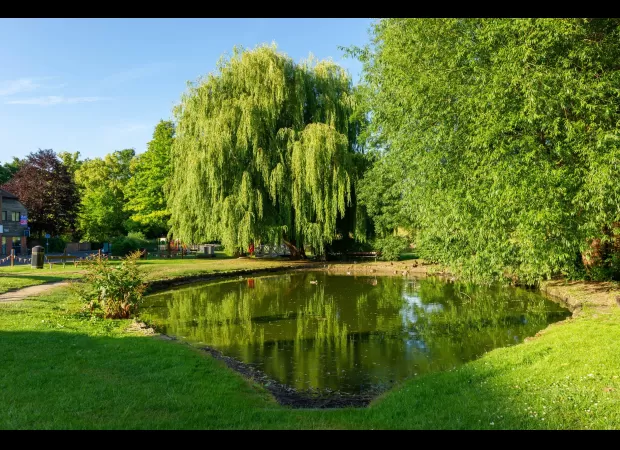 The cause of Britain's stinkiest village has been solved, and it's not pleasant.