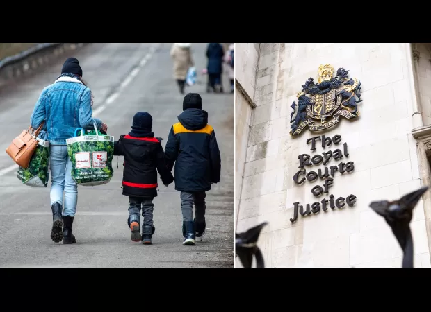 Court allows Ukrainian mother to bring her child home after appeal.