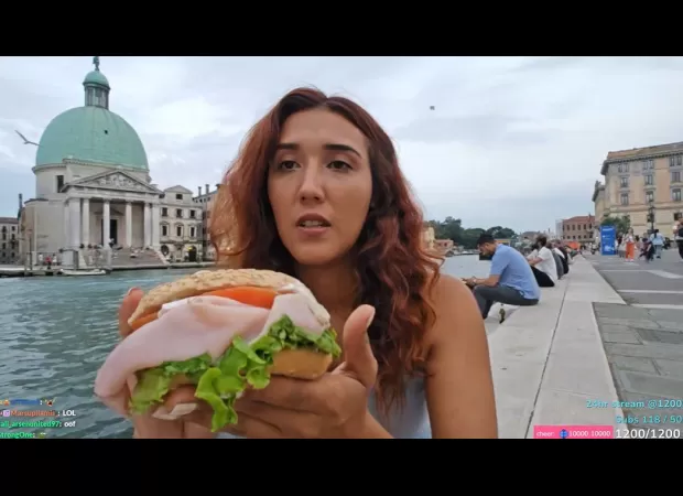 A Twitch streamer's sandwich was snatched by a seagull in a savage attack.